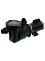 Motobomba para piscina aeris II 1/2 HP 110/220